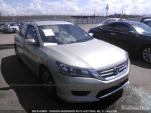 Honda Accord 2013 Gold 2.4L