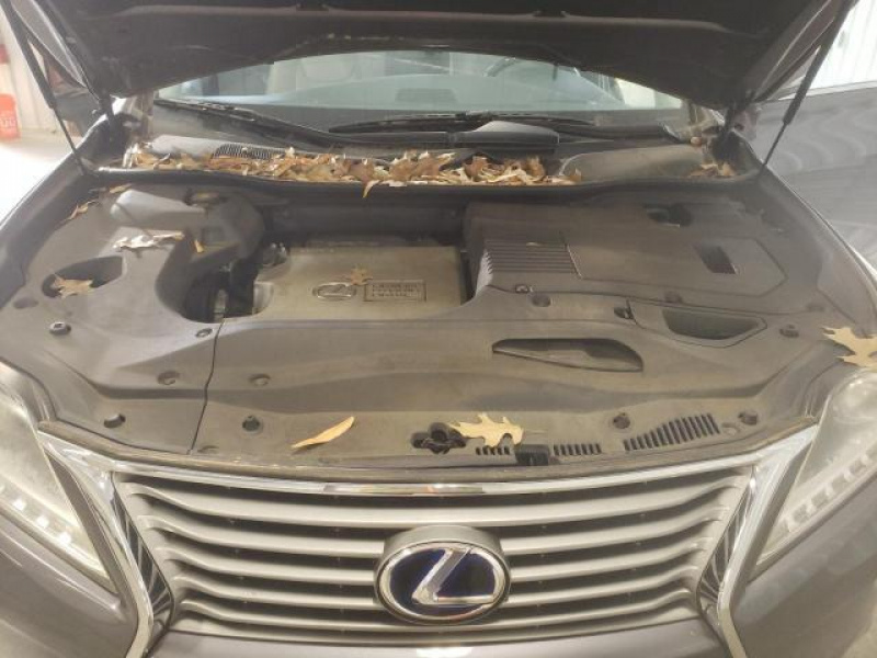 Lexus Rx 450 2013 Gray 3.5L
