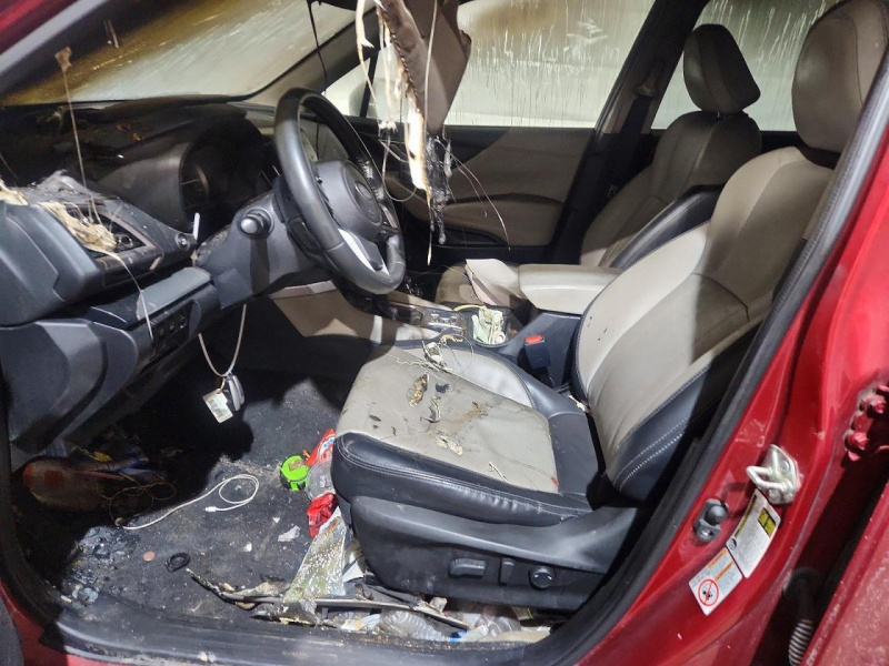 Subaru Forester Limited 2019 Red 2.5L