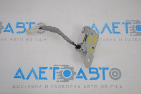 Antenna Module Honda Civic X FC 16-21