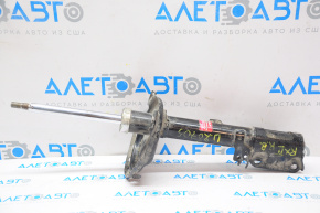 Amortizor spate dreapta Lexus RX300/330/350 04-09