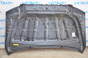 Capota goală Toyota Sequoia 08-16 grafit 1F9