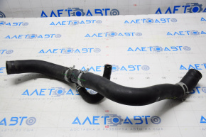 Патрубок охлаждения нижний Acura TLX 15- 3.5