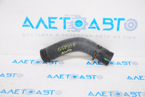 Патрубок охлаждения верхний короткий Lexus GS300 GS350 GS450h 06-11