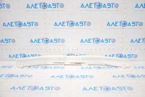 Absorbantul de bara fata Nissan Murano z50 03-08