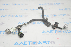 Проводка передней фары Lexus RX350 RX450h 13-15 рест, ксенон