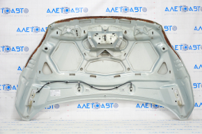 Capota goală Ford C-max MK2 13-18 albastră YQ, rugină