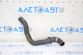 Furtun de răcire superior Lexus UX200 19-