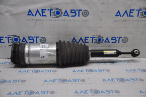 Amortizor pneumatic spate stânga Tesla Model X 16-21 tip 3