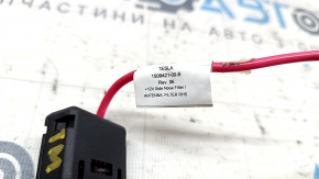 Amplificator cu filtru de zgomot antenă Tesla Model S 21-