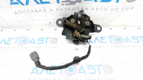 Capota de la Lexus CT200h 11-17.