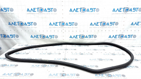 Уплотнитель дверного проема задний левый BMW 5 F10 11-16