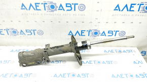 Amortizor spate stânga Toyota Camry v55 15-17 usa LE
