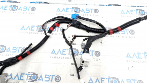 Проводка двери багажника Lexus RX350 RX450h 10-15