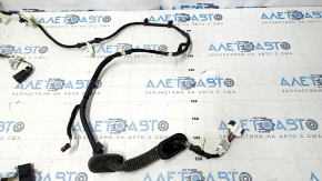 Проводка двери багажника Ford Escape MK3 13-16 дорест