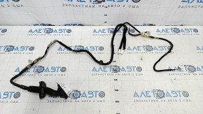 Проводка двери задней левой Toyota Prius V 12-17