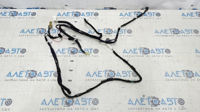 Проводка двери багажника Nissan Leaf 13-14
