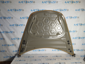 Capota Tesla Model 3 18 - aluminiu China, pokes
