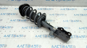 Стойка амортизатора в сборе передняя левая Ford Escape MK4 20-26 2.0T, hybrid FWD