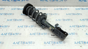 Стойка амортизатора в сборе передняя правая Ford Escape MK4 20-26 2.0T, hybrid FWD