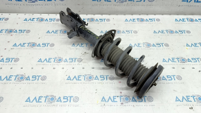 Стойка амортизатора в сборе передняя правая Ford Escape MK4 20-26 2.0T, hybrid FWD