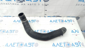Furtunul de răcire inferior pentru Infiniti Q50 16- 3.0