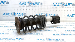 Стойка амортизатора в сборе передняя правая Ford Fusion mk5 13-20 2.0T, hybrid, plug-in, ржавая опора