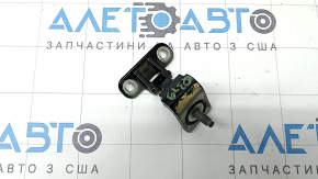 Петля двери багажника правая Audi Q3 83A 19-25
