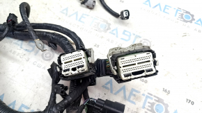 Проводка моторная Ford Fusion mk5 13-16 2.5