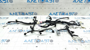 Cablaj portbagaj Lexus NX200t NX300 NX300h 15-21