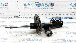 Амортизатор передний правый Toyota Camry v70 18-24 LE\XLE FWD