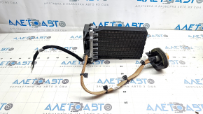 Сухой тен Nissan Ariya 23-26