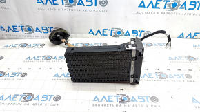 Сухой тен Nissan Ariya 23-26