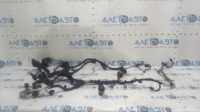 Проводка моторная Ford Ecosport 18-22 2.0