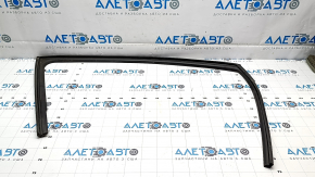 Уплотнитель стекла двери передней правой Hyundai Ioniq 5 22-26