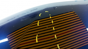 Капот голый Nissan Murano z52 15-24 алюминий, синий RAY, вмятины