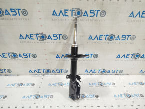 Amortizor spate dreapta Toyota Camry v55 15-17 usa SE nou original