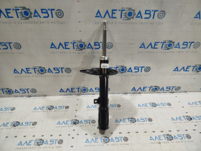 Amortizor spate stânga Toyota Camry v55 15-17 SUA SE nou original