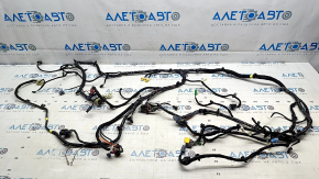 Проводка подторпедная Polestar 2 21-25