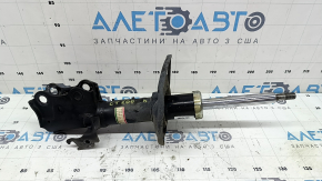 Амортизатор передний левый Lexus CT200h 13-13