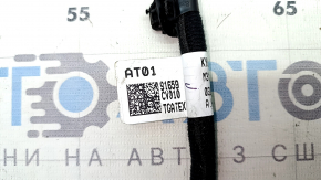 Проводка двери багажника правая Kia EV6 22-26