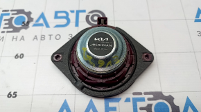 Динамик передней панели центральный Kia EV6 22-26 Meridian