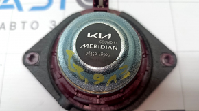Динамик передней панели центральный Kia EV6 22-26 Meridian