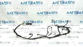 Проводка двери багажника Mazda CX-50 23-26