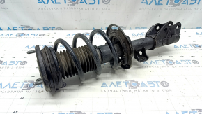 Стойка амортизатора в сборе передняя правая Mazda CX-50 23-26 под R17