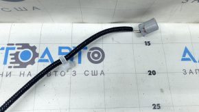 Проводка двери багажника Toyota Rav4 19-25