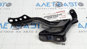 Петля капота правая Toyota Rav4 19-24