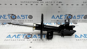 Amortizor fata dreapta Nissan Maxima A36 16-KYB