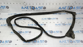 Rupere de garnitură ușă spate dreapta Lexus GS300 GS350 GS430 GS450h 06-11
