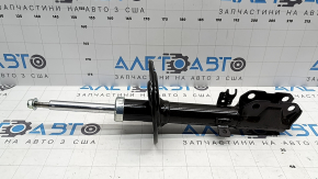 Amortizor spate dreapta Toyota Camry v55 15-17 usa SE nou original